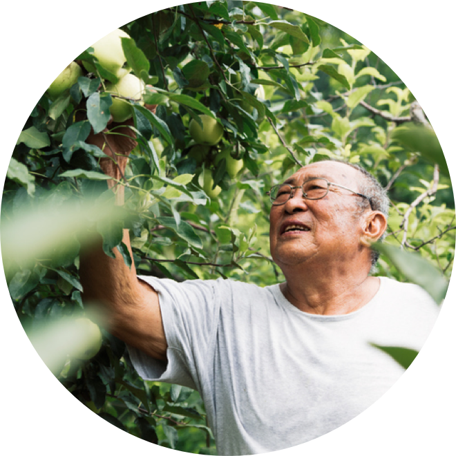 An older man checks on the apples in his orchard.