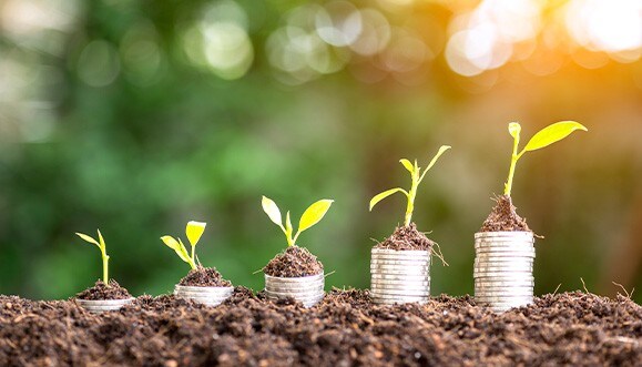 stacks of coins growing with plants on top of them