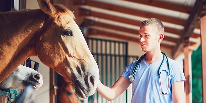 A young man in scrubs petting a horse