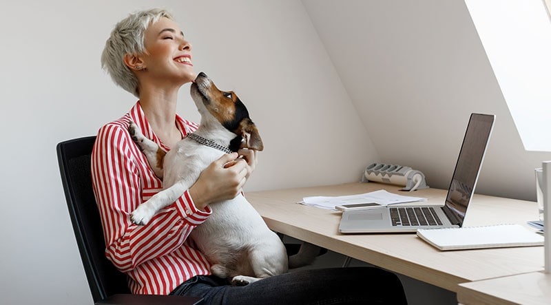 A woman's dog licks her face as she sits at her desk.