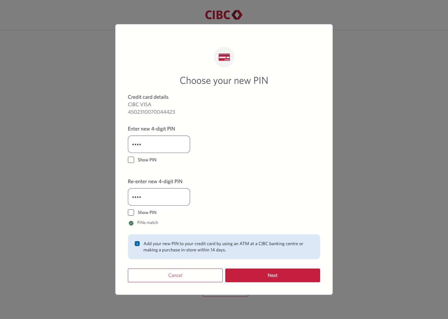 Demo screen 6: Dialog overlay to choose your new PIN. A pulsing animation highlights the "Next" button.