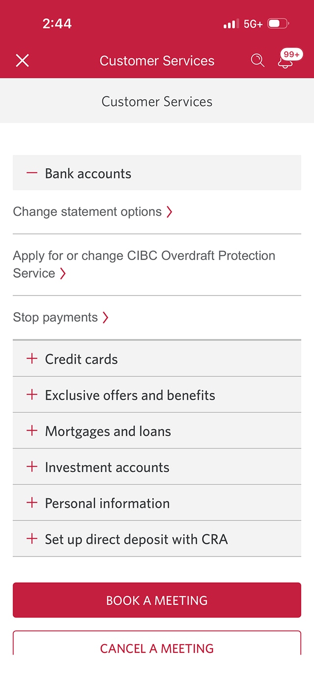 Demo screen 4: "Customer Services" page. A pulsing animation highlights the "Change statement options" link.