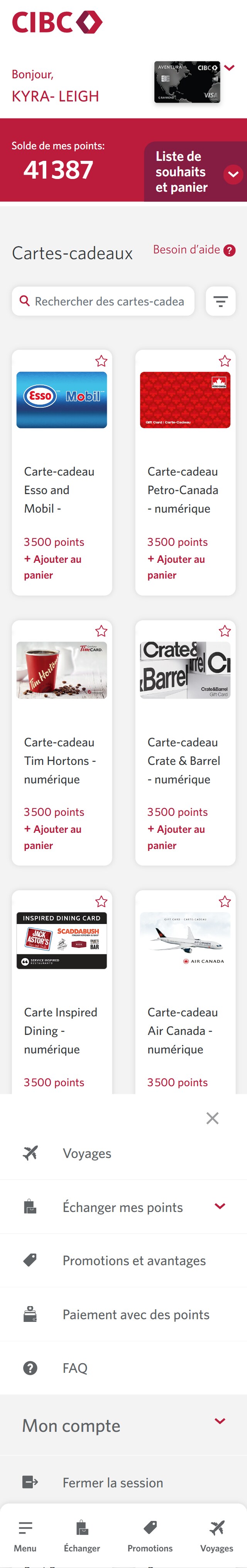 Écran 8 de la démonstration : Menu Plus d’options. Une animation en pulsation met en évidence le lien Payer avec des points.