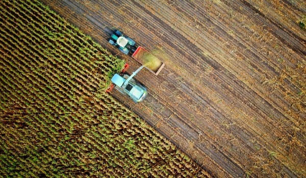 Un tracteur récolte du blé