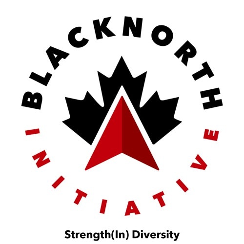 BlackNorth Initiative logo.