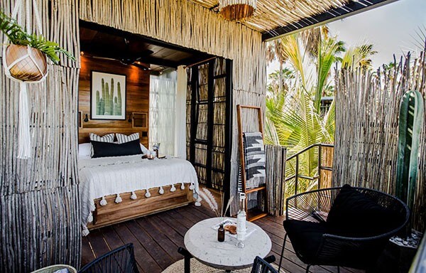 Chambre perchée dans un arbre à Acre Baja.
