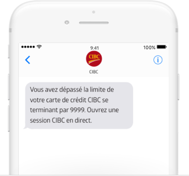 Téléphone mobile affichant une alerte de budget