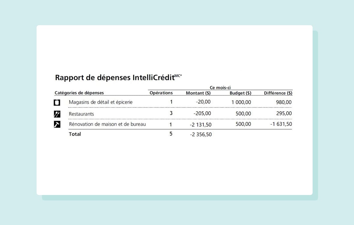 Rapport de dépenses IntelliCrédit