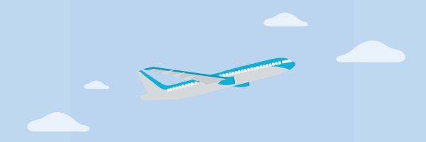 Plane takes off into the sky