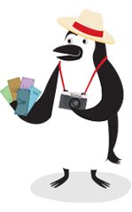 Percy the penguin with his camera and foreign money