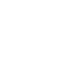 Fingerprint icon