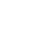 Seal icon