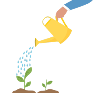 Une main arrose une plante avec un arrosoir.